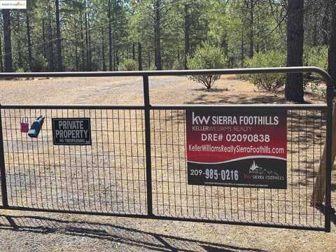 9587 Bondurant Mine Rd., Coulterville, CA 95311