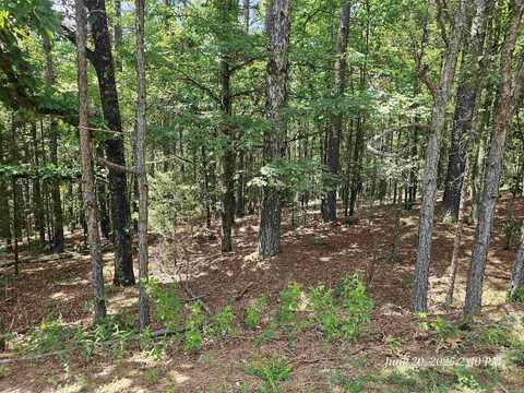 174 Castano Drive, Hot Springs Village, AR 71909