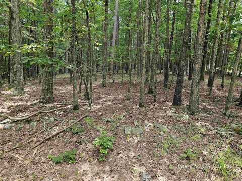 46 Doscientos Way, Hot Springs Village, AR 71909