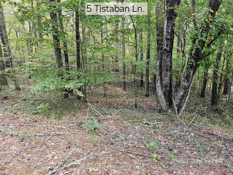 5 Tistaban Lane, Hot Springs Village, AR 71909