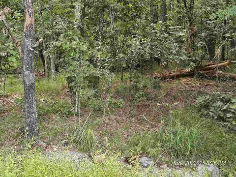 6 Osorno Ln, Hot Springs Village, AR 71909