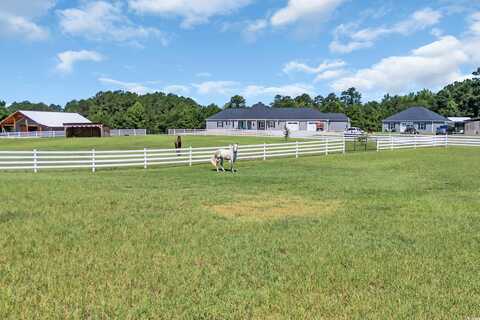 7356 Johnson Shortcut Rd., Conway, SC 29527