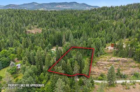 Lot 10 Birch Beauty Road, Priest River, ID 83856