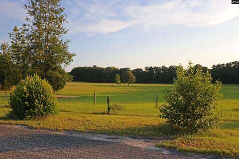 TBD Poinsettia Road, Wagener, SC 29164