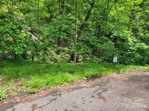 Bear River Lodge Trail unit: 132, Marshall, NC 28753