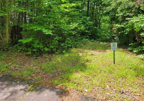 Bear River Lodge Trail unit: 124, Marshall, NC 28753