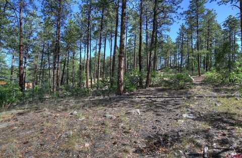 109 Cabin Creek Drive, Durango, CO 81301