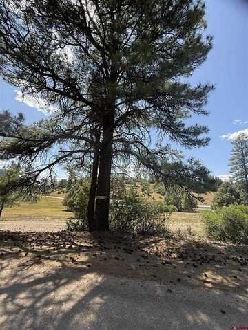 78 Dyke Boulevard, Pagosa Springs, CO 81147