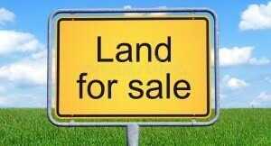 0 Gaines Circle, Cottageville, SC 29435