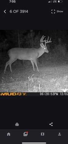 17.5 ac County Rd 67, Clopton, AL 36317