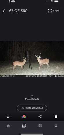 35ac County Rd 67, Clopton, AL 36317