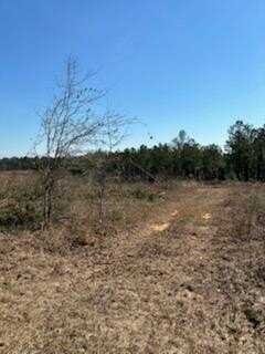 17.5ac County Rd 67, Clopton, AL 36317