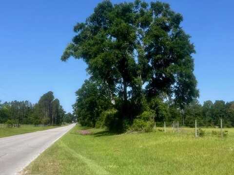 160th St, Trenton, FL 32693