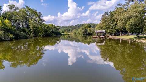 136 Bluewater Landing Road, Rogersville, AL 35652