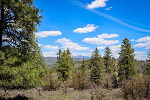 1025 Bobs Place, Pagosa Springs, CO 81147