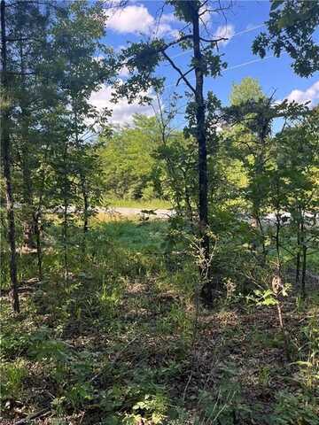 Tract 4 SE 1083 Rd AVE, Red Oak, OK 74563