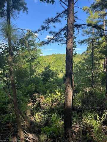 Tract 5 SE 1083 Rd Ave, Red Oak, OK 74563