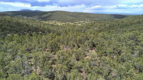 McComb Road, Edgewood, NM 87015
