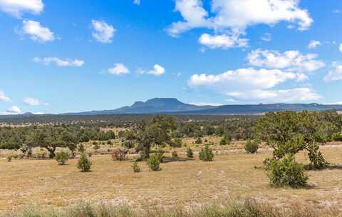 88 Old Stage Road, Pie Town, NM 87827