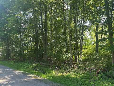 CHARLOTTE Avenue, Conneaut Lake, PA 16316