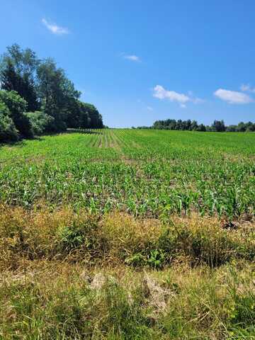 36th Ave, Paw Paw, MI 49079