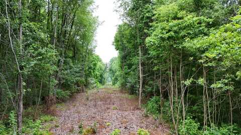 Vl 108th Avenue, Otsego, MI 49078