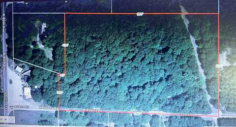 00 W Adams Road, Pentwater, MI 49449