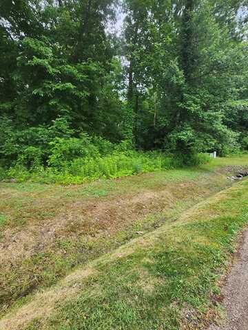 11137 Abbey Lane, New Buffalo, MI 49117