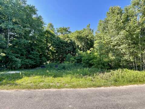 V/L E Shore Drive, Stanton, MI 48888