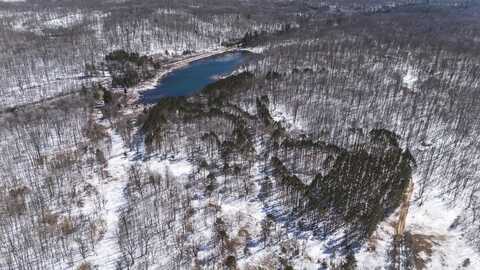 V/L Jackson Avenue, Lake, MI 48632