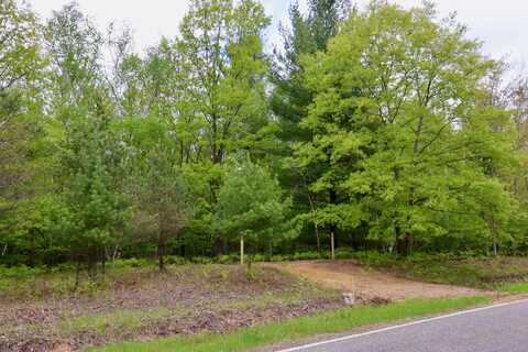 V/L E Levely Road, Rhodes, MI 48652
