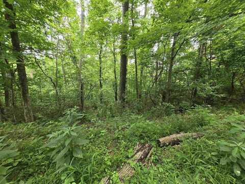 109 And 110 Tranquility Drive, Huntington, WV 25702
