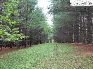 Tbd Fox Ridge Road, Glade Valley, NC 28627