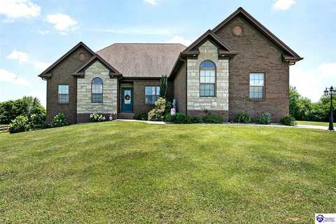 14 Wellesly Court, Cecilia, KY 42724
