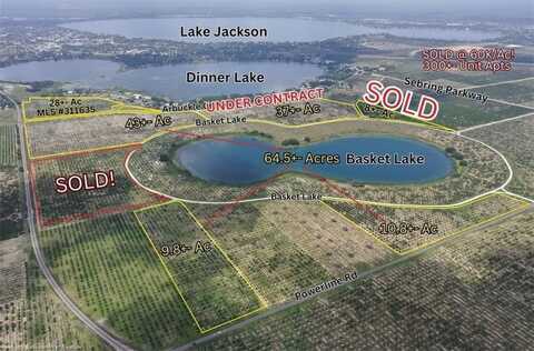 1115 Basket Lake Road, Avon Park, FL 33825