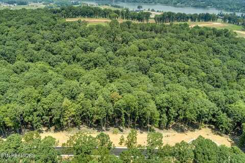 325 Flip Flop Way, Loudon, TN 37774