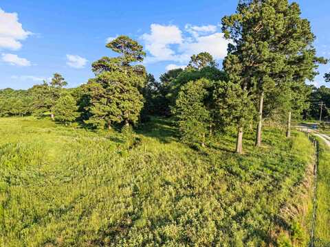 Tbd Peter Bonner (Tract1), Hallsville, TX 75650