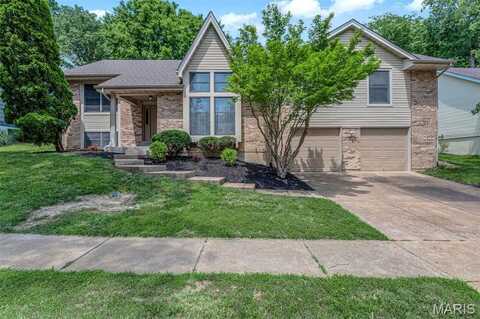 14361 White Birch Valley Lane, Chesterfield, MO 63017
