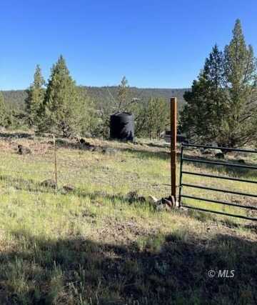 Raccoon, Alturas, CA 96101