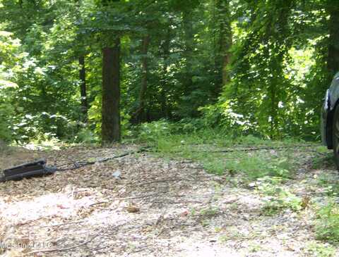 3310 Monans Rill Cove, Hernando, MS 38632