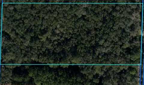 NE 210TH AVENUE, WILLISTON, FL 32696