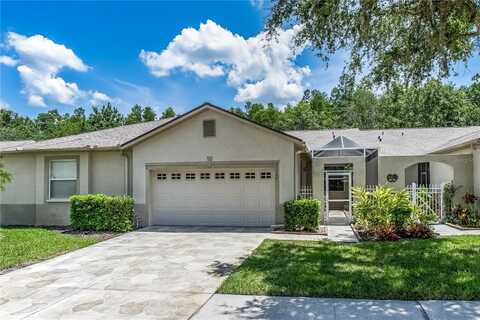 21248 DIAMONTE DRIVE, LAND O LAKES, FL 34637