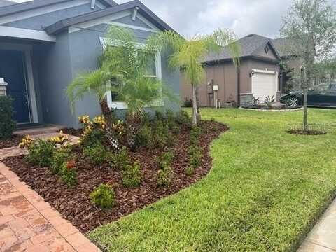 19259 BRIARBROOK DRIVE, TAMPA, FL 33647
