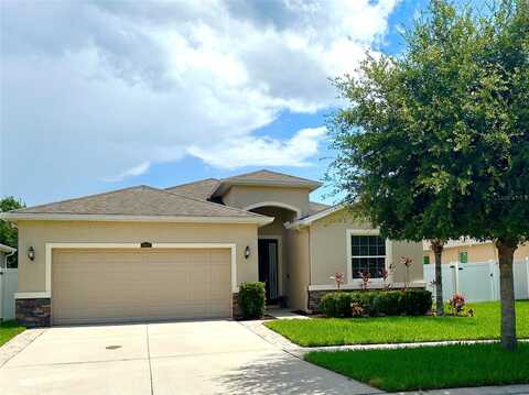 10621 SCENIC HOLLOW DRIVE, RIVERVIEW, FL 33578