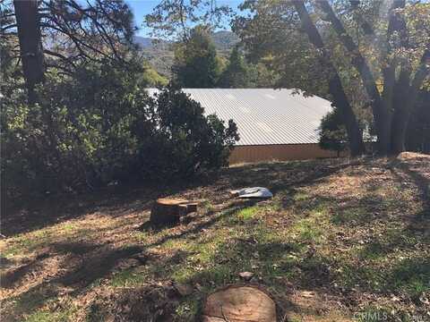 29151 Lyon Drive, Cedar Glen, CA 92321