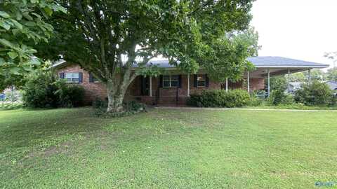1007 Julian Avenue, Albertville, AL 35976