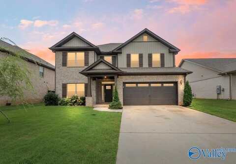 219 Holt Street, Meridianville, AL 35759