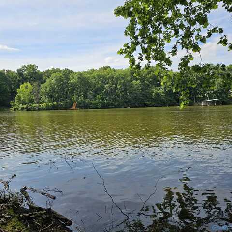 Lot 11 Beech Fork Lane, Athens, AL 35611