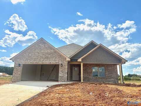 undefined, Meridianville, AL 35759