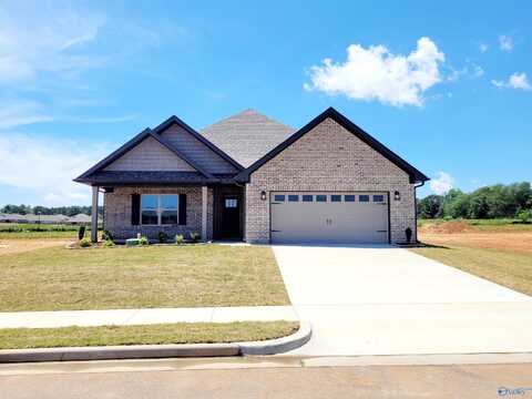 undefined, Meridianville, AL 35759
